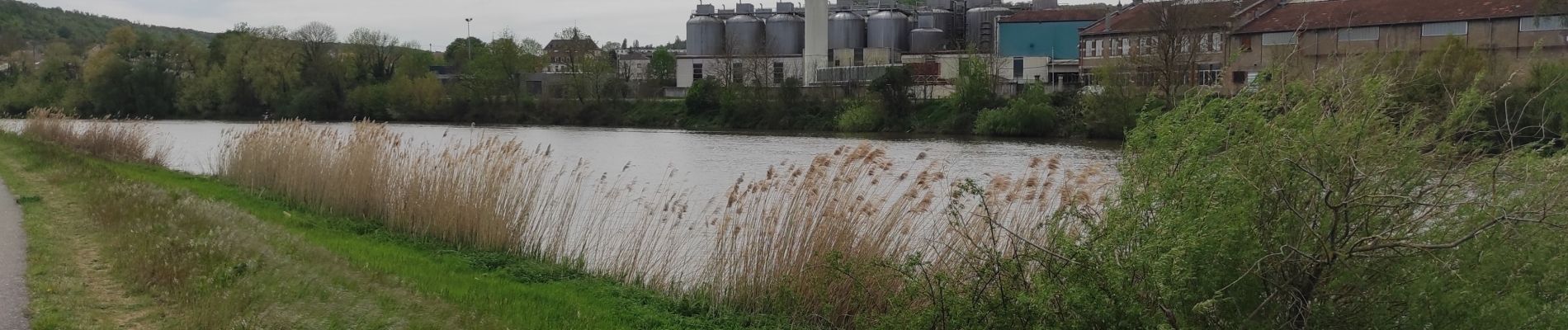 Tocht Stappen Nancy - Nancy - Le grand couronné - Dommartemont - Le moulin noir - Nancy - Photo