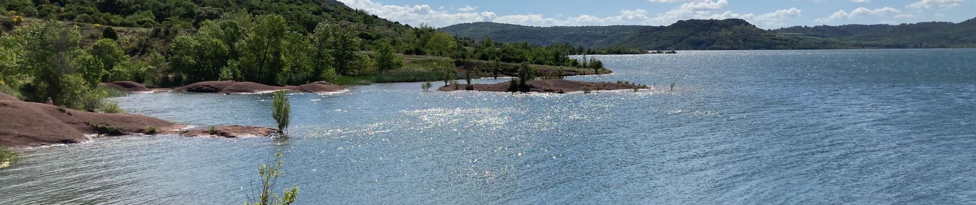 Excursión Bici de montaña Clermont-l'Hérault - Salagou  - Photo