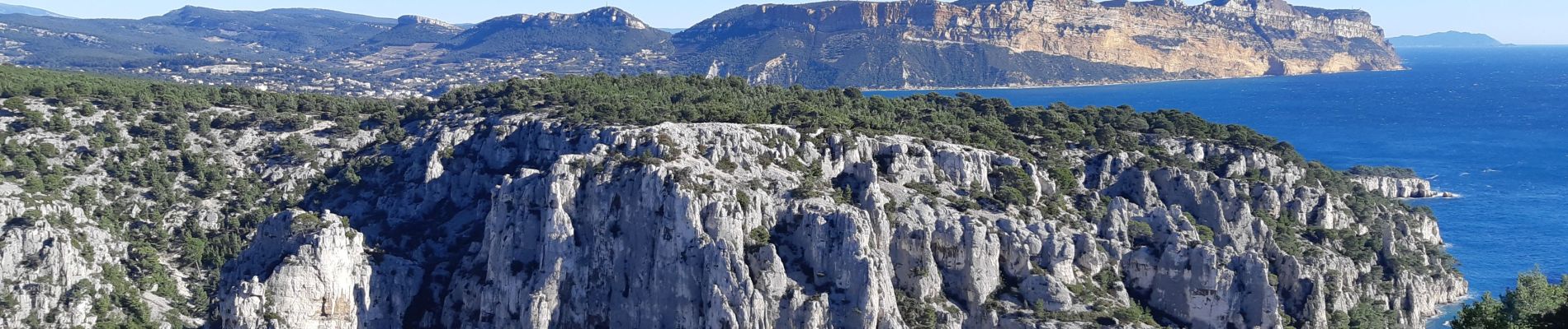 Tocht Stappen Marseille - Belvédère d'en Vau depuis la route de la Gineste - Photo