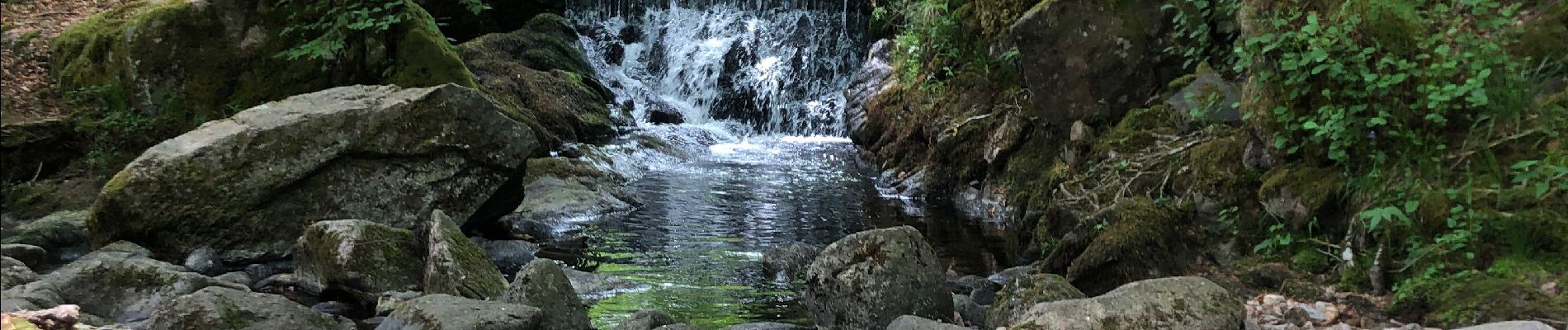 Excursión Senderismo Sewen - Le jeudi de Mai  - Photo