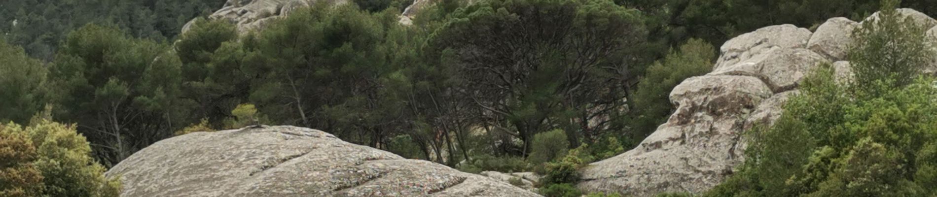 Excursión Senderismo Évenos - Les grès de Sainte Anne d'Evenos - Photo