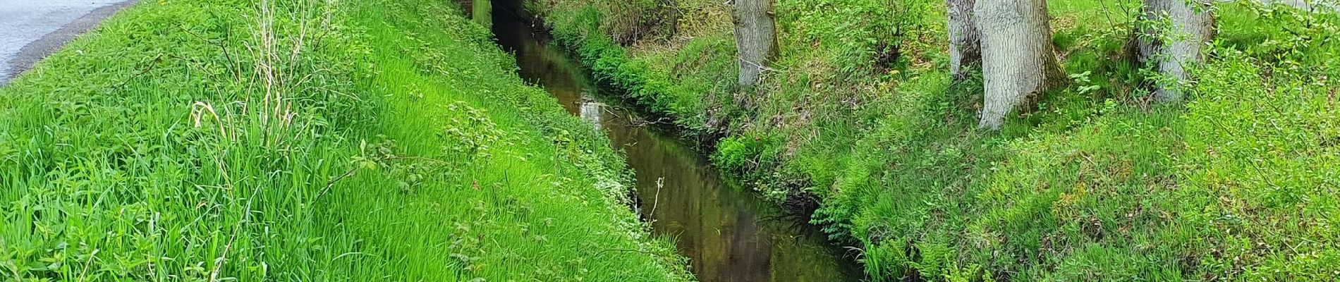 Tocht Te voet Sittensen - Nordpfad 'Börde Sittensen' - Photo