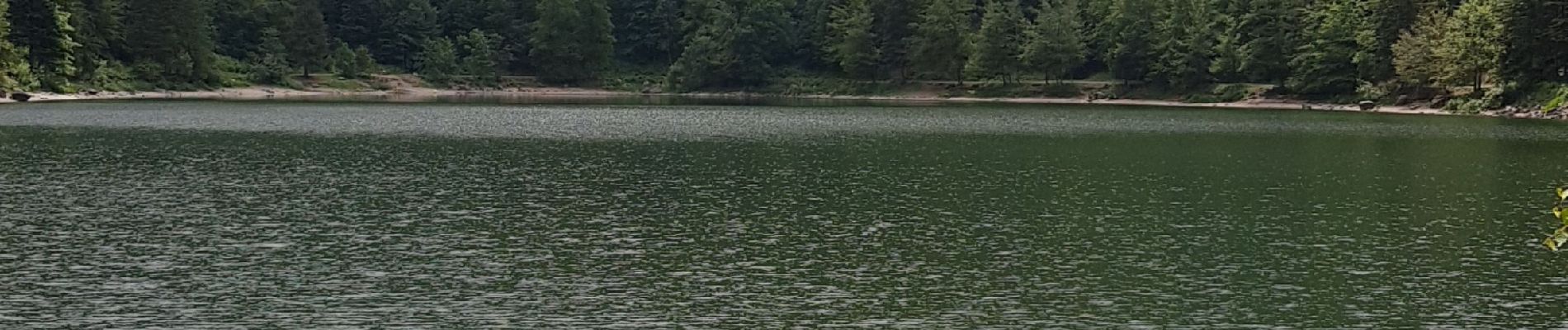 Randonnée Marche La Bresse - lac des corbeaux  - Photo