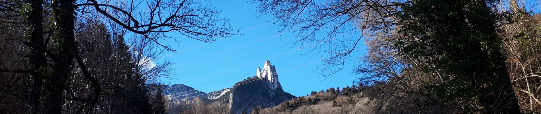 Trail Nordic walking Seyssins - Voie du Tram en circuit jusqu'au Ravaud - Photo