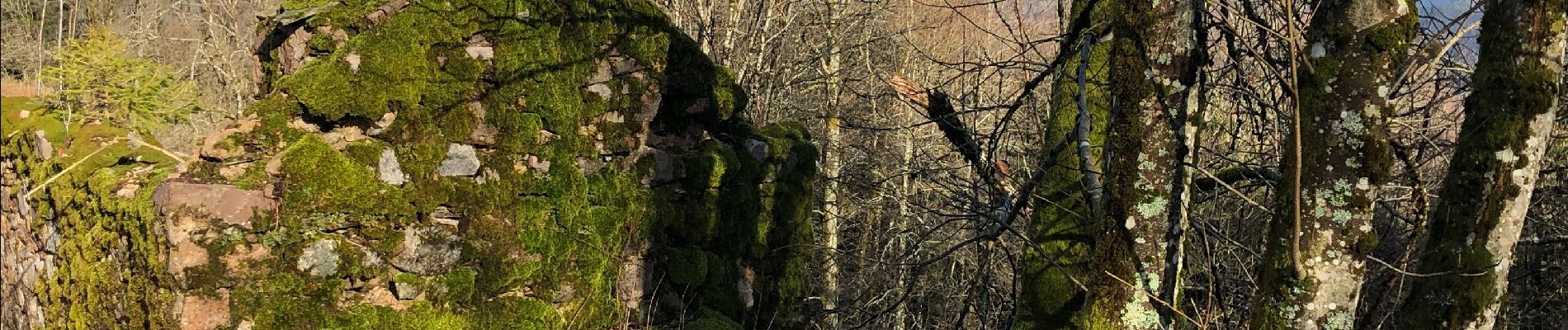 Excursión Senderismo La Rosière - La rosière et le fort de rupt petite randonnée - Photo