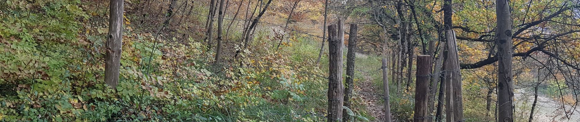 Trail Walking Seyssins - La colline de Comboire par les hauts de Pré Nouvel - Photo