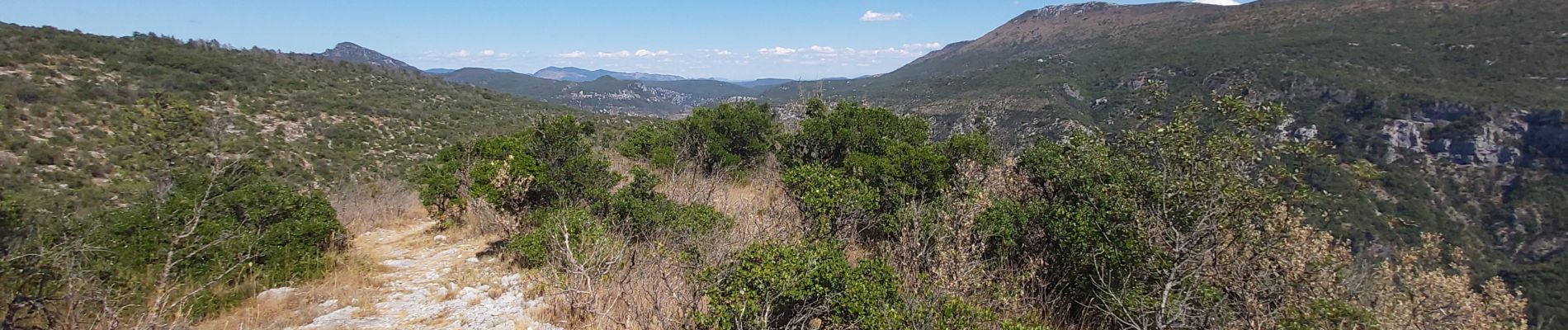 Tour Wandern Gorniès - Le Grenouillet - Photo