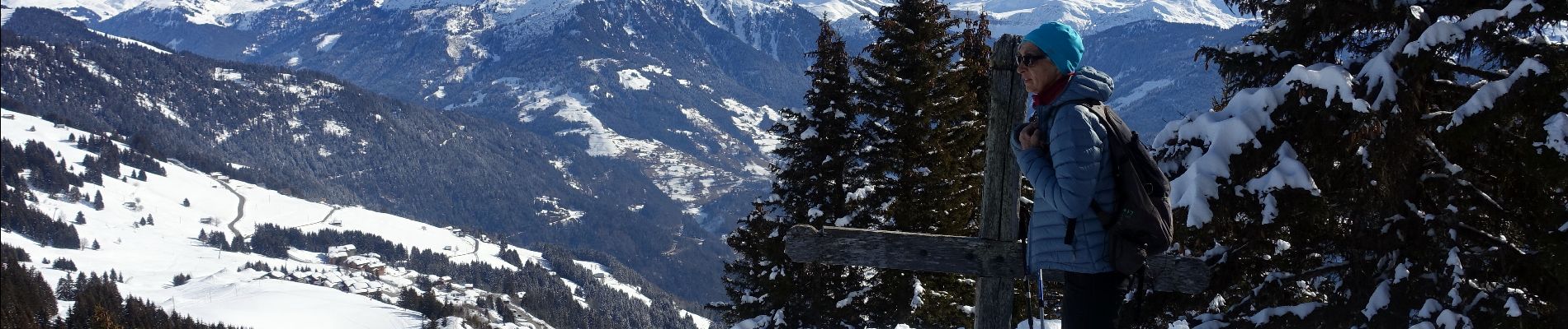 Randonnée Raquettes à neige Villard-sur-Doron - Bisanne-Croix-de-Coste-2021-02-15 - Photo