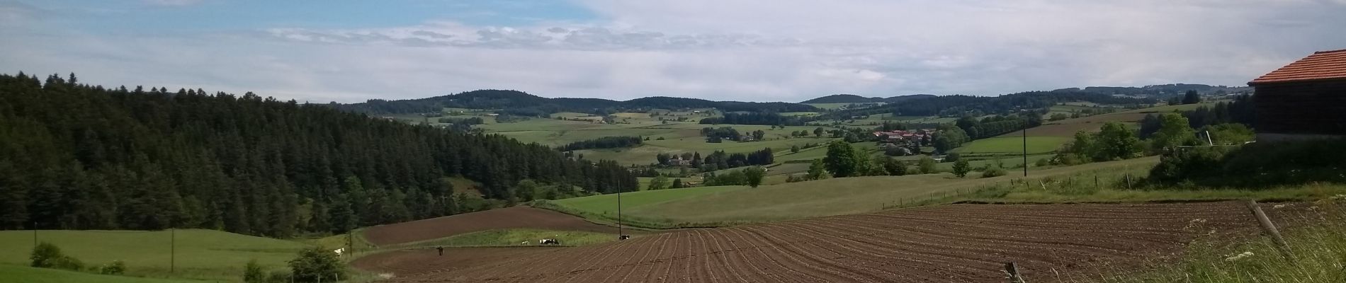 Tour Wandern Marlhes - petit tour depuis l'airellier du pilat - Photo