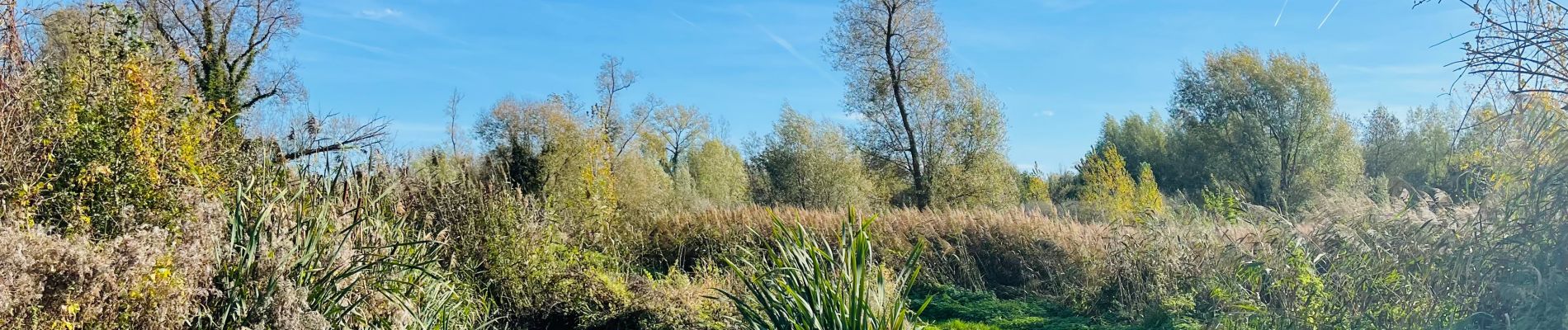 Excursión Senderismo Geer - La réserve naturelle du Haut-Geer à Hollogne-sur-Geer  - Photo