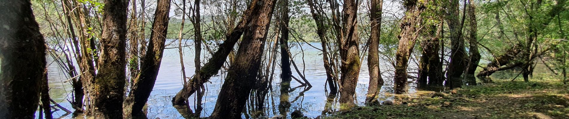 Tour Wandern Baudinard-sur-Verdon - BAUDINARD  MONPEZAT - Photo