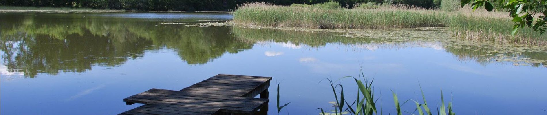 Tocht Wegfiets Alby-sur-Chéran - 13 KM ETANG DE CROSAGNY - Photo