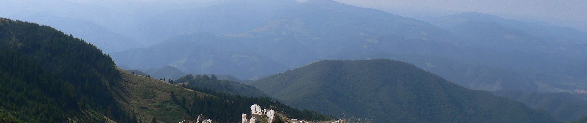 Tocht Te voet Onbekend - Gara Turnu Roșu - Șaua Corbului - Photo