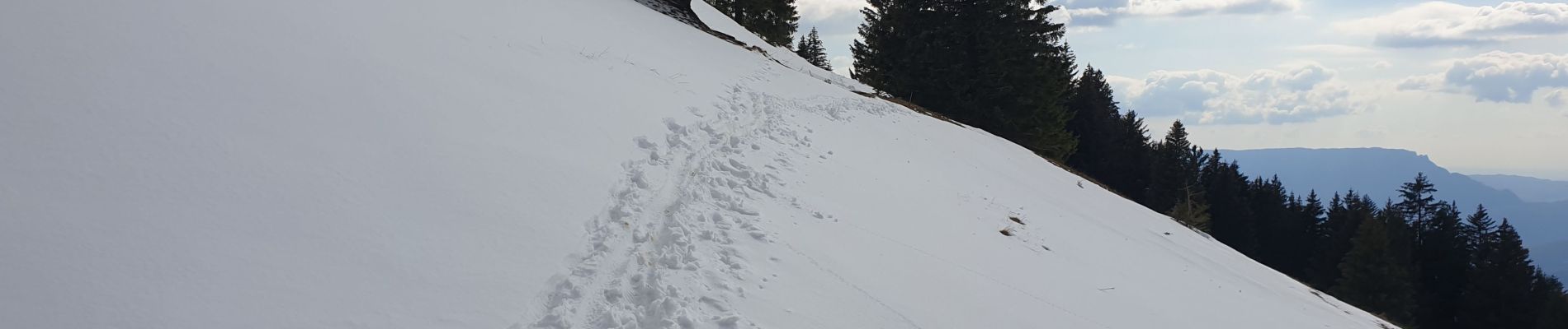 Excursión Bici de montaña Allèves - semnoz - Photo