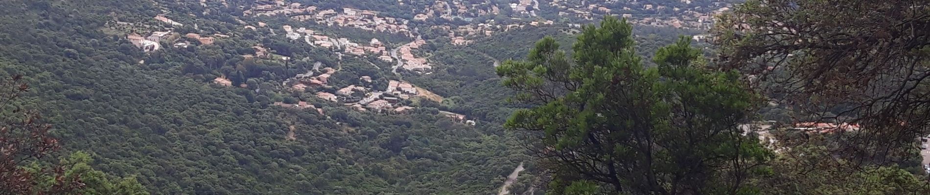 Tour Wandern Cogolin - les hauts de Cavalaire - Photo