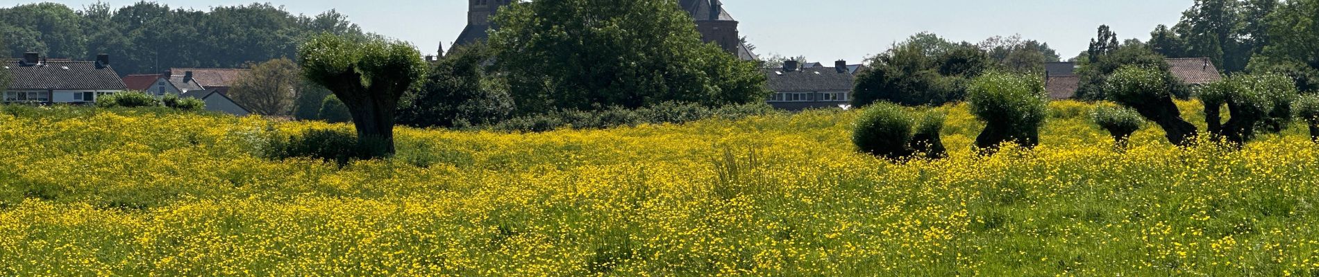 Tour Wandern Sluis - Aardenburg 19 km - Photo