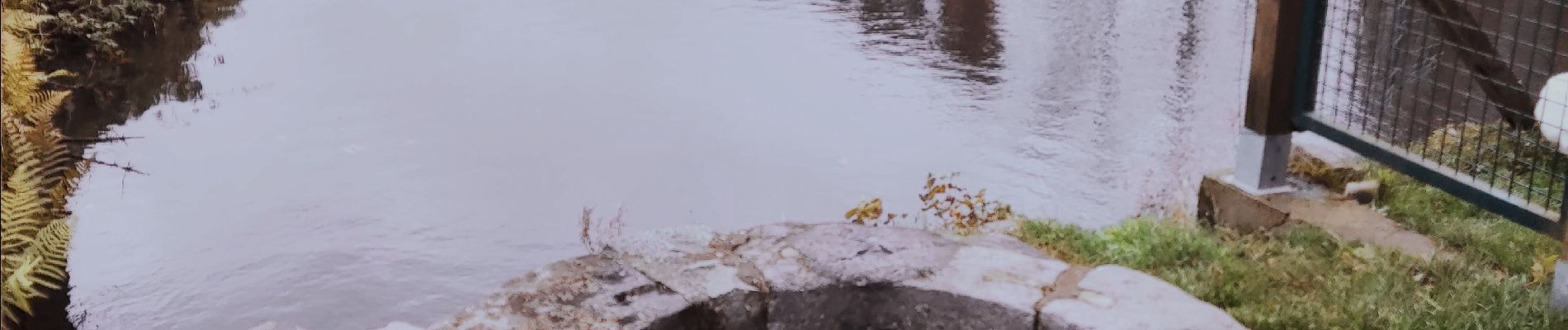 Percorso Marcia Belœil - Promenade autour du Château De Beloeil  - Photo