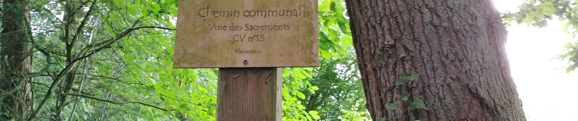 Randonnée Marche Esneux - au fil de l'eau Plainevaux  - Photo