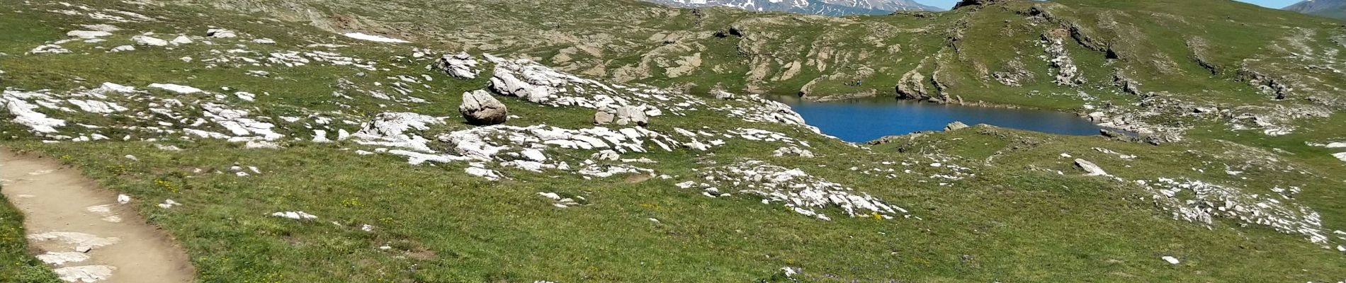 Tocht Stappen La Grave - Plateau d'Emparis - Photo