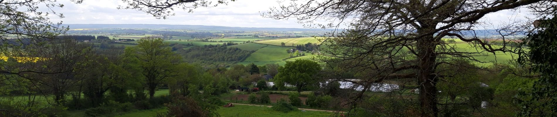 Tocht Stappen Saint-Paul-le-Gaultier - St Paul le Gaultier  - Photo