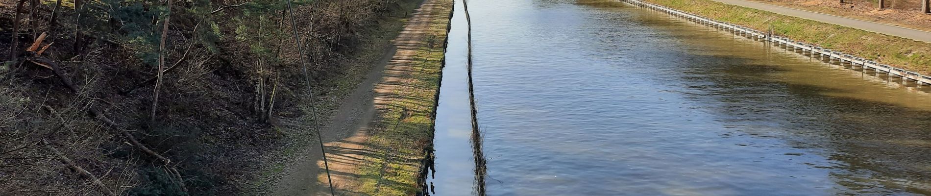 Tocht Stappen Lommel - Sahara Lommel - Photo