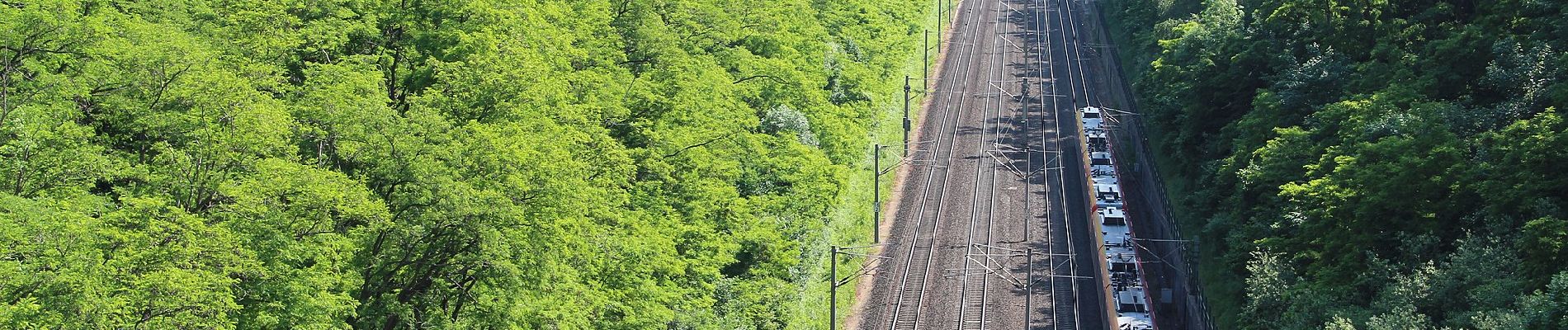 Tour Zu Fuß Frechen - Kerpen Rundweg K6 - Photo