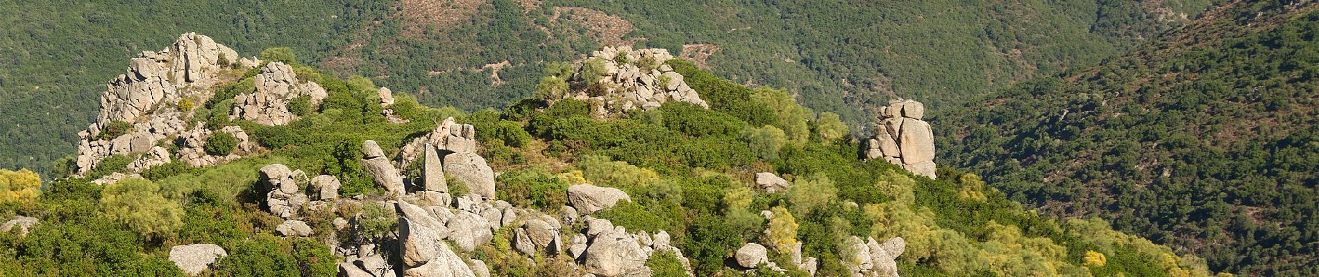 Percorso A piedi Dorgali - Sa Portiscra-Cala Luna - Photo