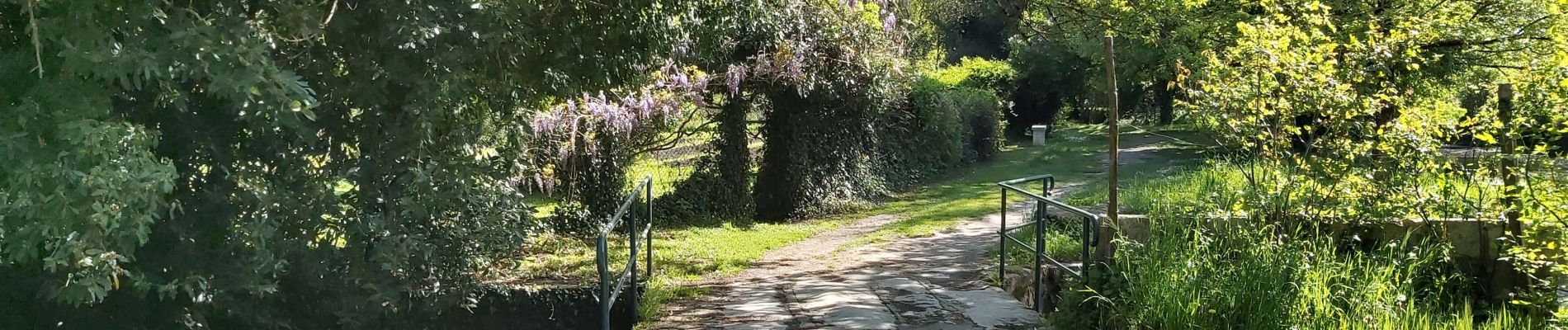 Randonnée Marche Pons - Pons - Photo