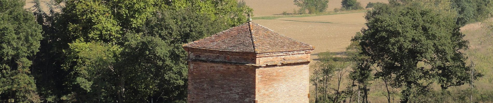 Percorso A piedi Odars - Boucle de la Marcaissonne - Photo