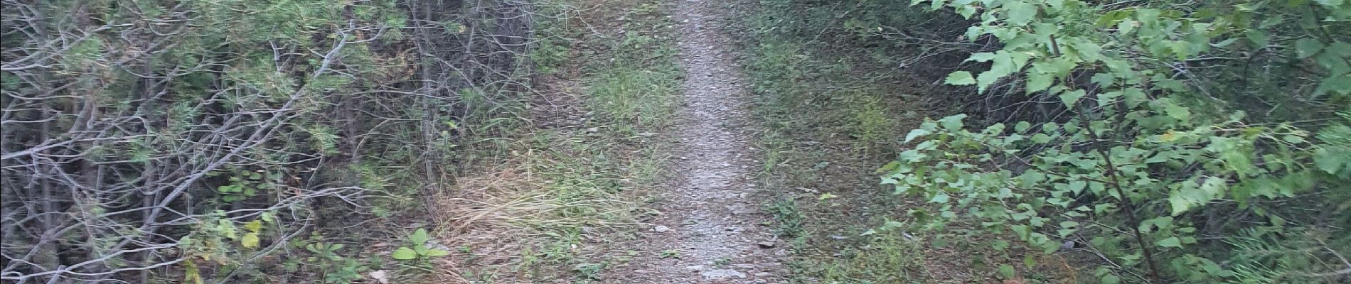 Trail Walking Saint-André-d'Embrun - Boucle lac de Siguret et Chapelle Saint Roch - Photo