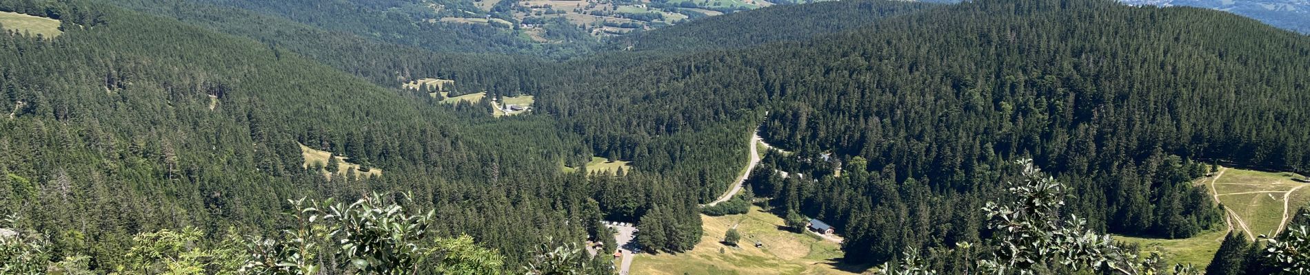 Tocht Stappen Soultzeren - Tanet-Gazon du Fain-Tanet - Photo