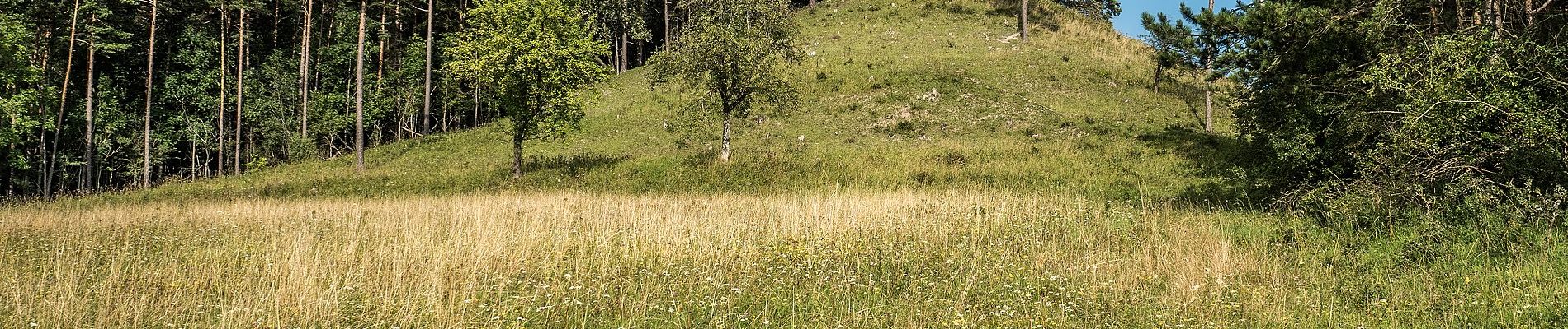 Percorso A piedi Bad Staffelstein - Hasenweg (Romansthal) - Photo