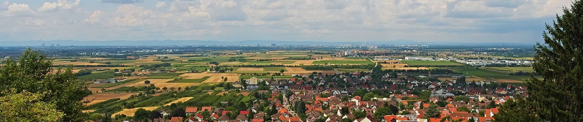 Tour Zu Fuß Hirschberg an der Bergstraße - Waldlehrpfad Hirschberg - Photo