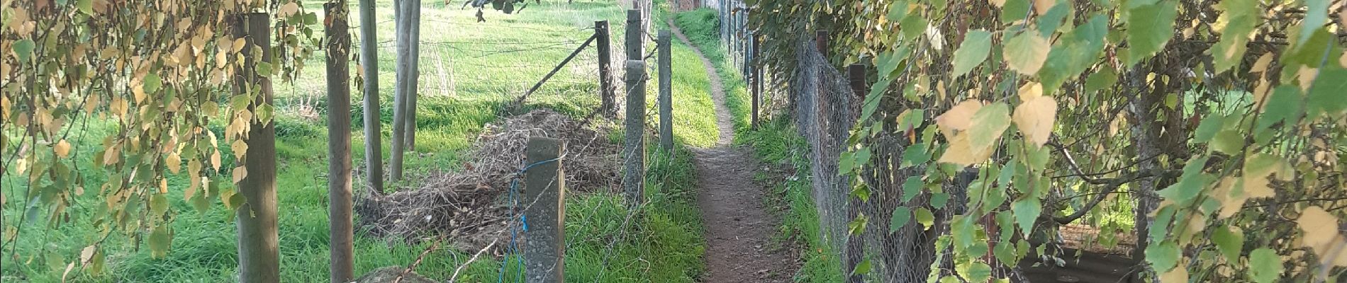 Tocht Stappen Riemst - autour de Kanne via montagne St Pierre et les vignes - Photo