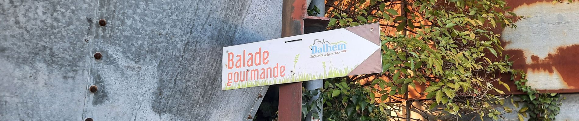 Trail Walking Dalhem - dalhem-balade gourmande 2024 - Photo