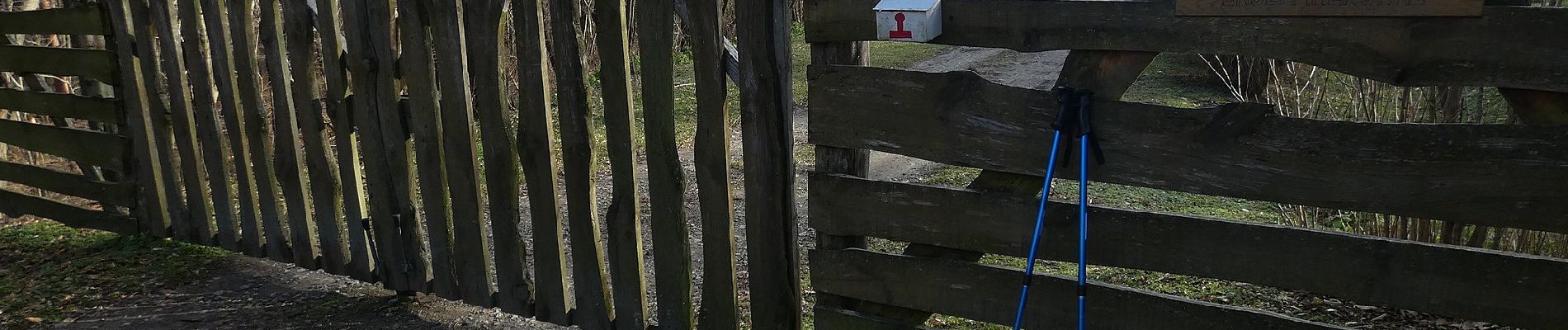 Percorso A piedi Boldogasszonyfa - K+ Terecseny – RPDDK - Photo