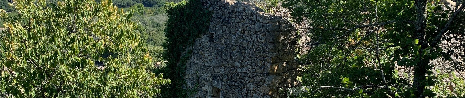 Tour Wandern La Roque-sur-Cèze - Cascades du Sautadet, maquis et village de Roque-sur-Cèze  - Photo