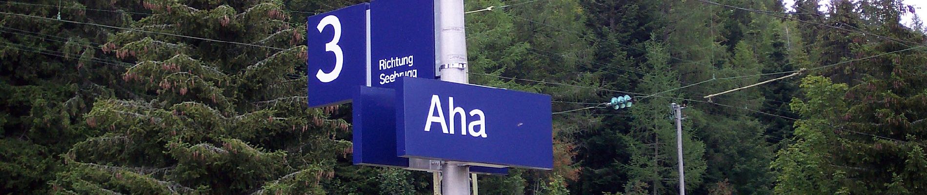 Excursión A pie Schluchsee - Aha - Altglashütten - Photo