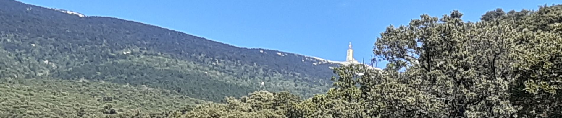 Tocht Stappen Bédoin - La Combe de Curnier - Photo