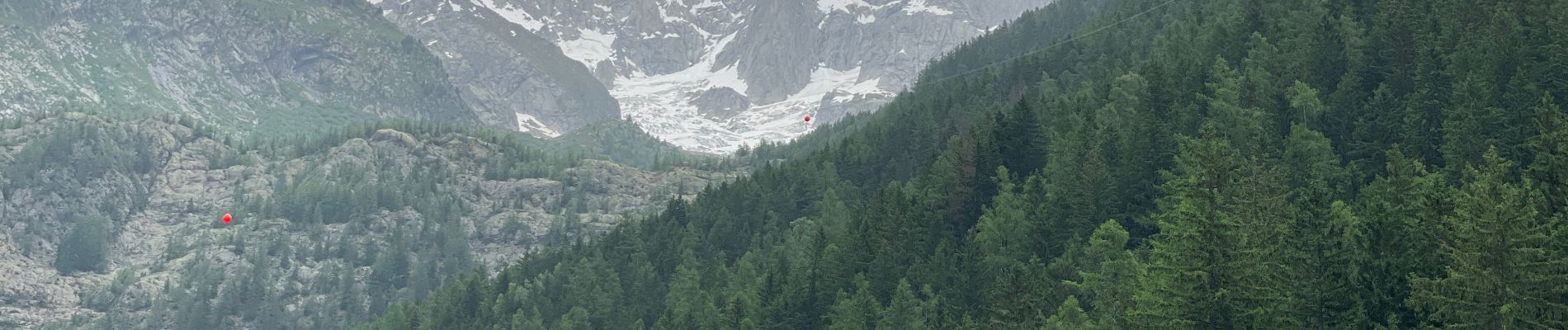 Trail Walking Chamonix-Mont-Blanc - Chamonix : Les Bois - le chapeau  - Photo