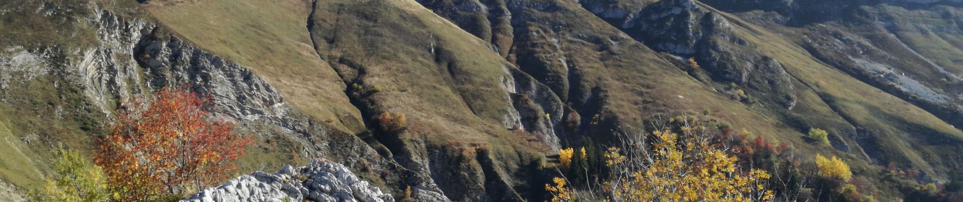 Trail Walking Jarsy - PLAN DE LA LIMACE - Photo