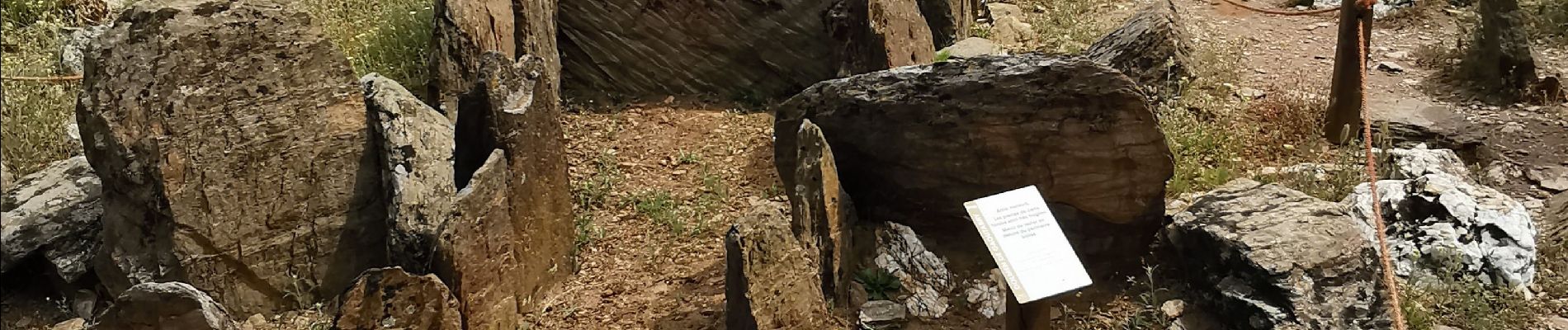 Tocht Stappen La Londe-les-Maures - De Lalonde-Valcros au dolmen de Gautabry - Photo