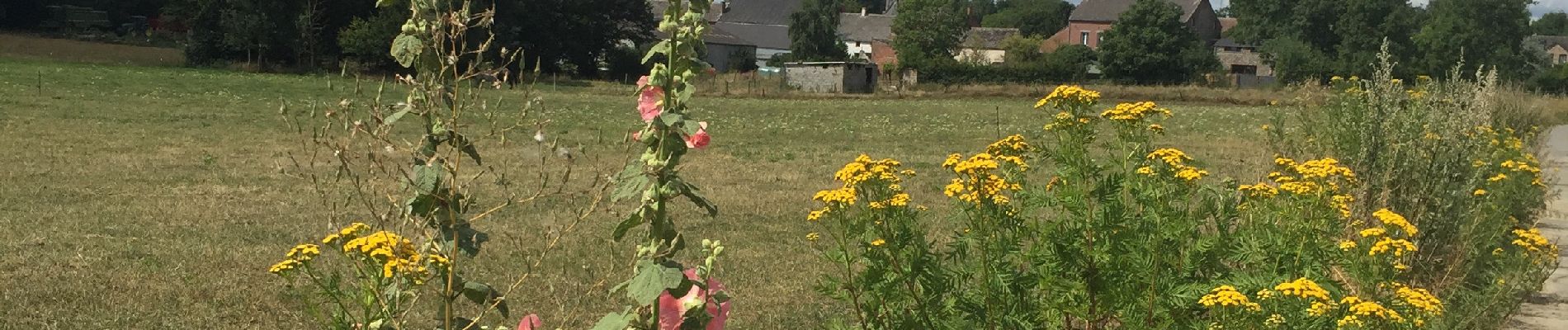 Randonnée Marche Thuin - 68.709 Ragnies -  Leers et Fosteau - Photo