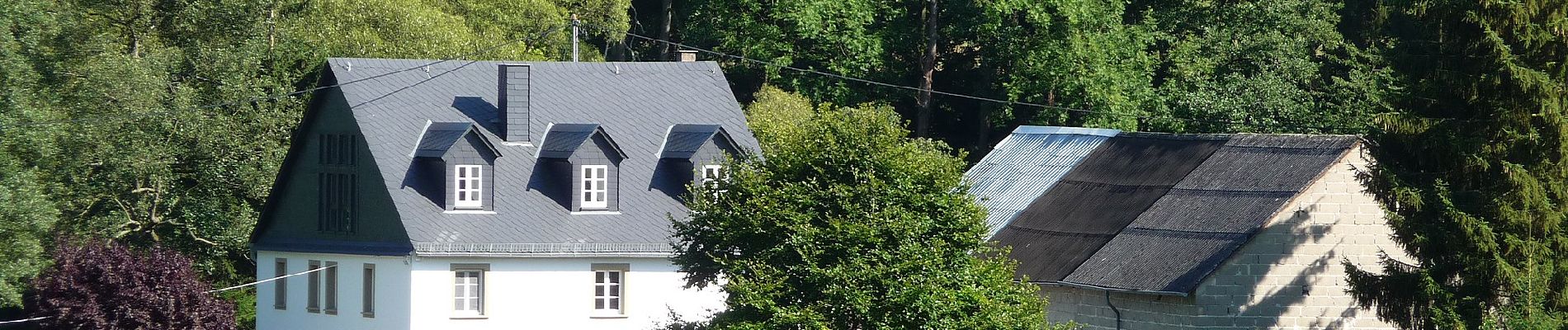 Percorso A piedi Gehlweiler - Traumschleife Heimat - Photo