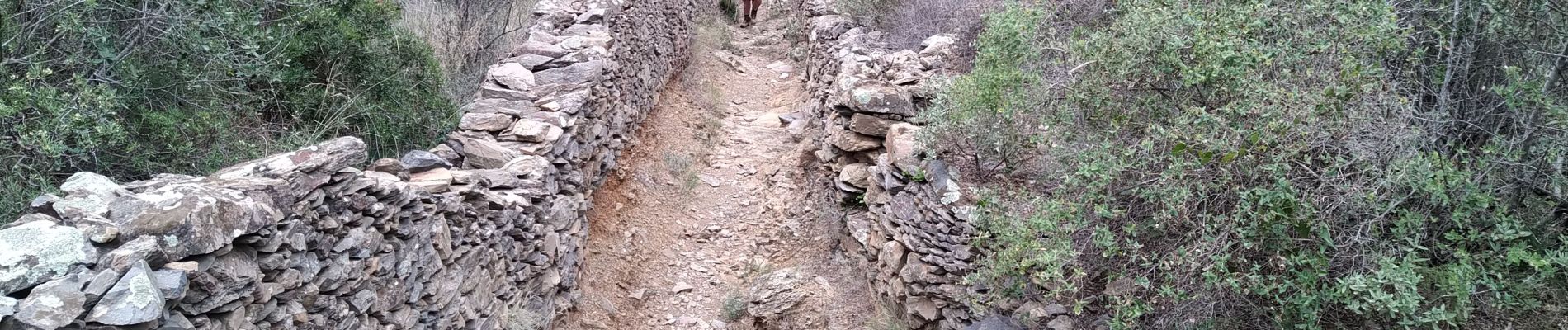 Tocht Stappen Llançà - Llencai Port de la Selva - Photo