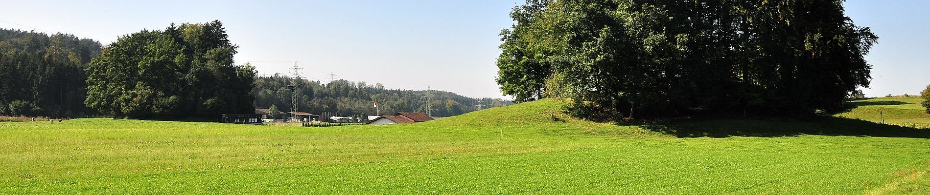 Randonnée A pied Fehraltorf - Fehraltorf - Pfäffikon - Photo