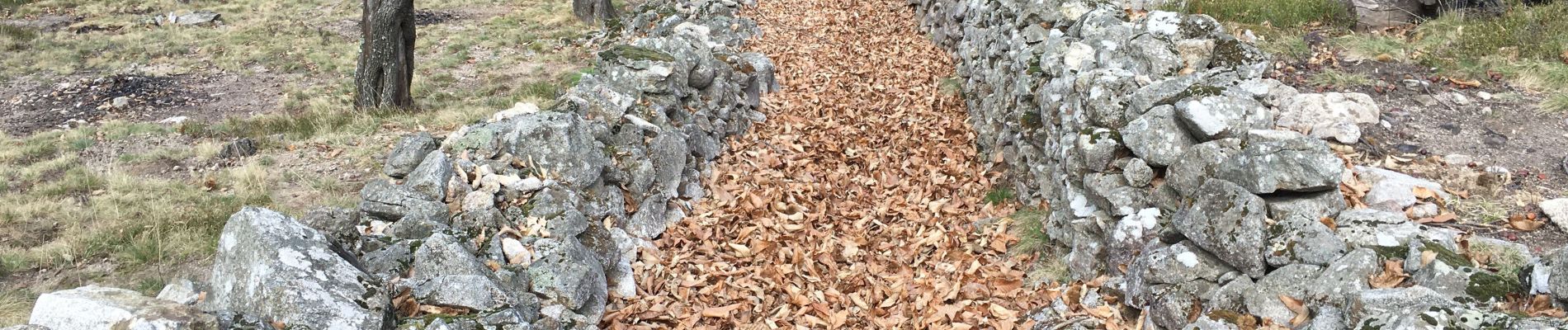 Tour Wandern Burzet - Burzet -Les Sausses-Aubert-Burzet-La Valette - Photo