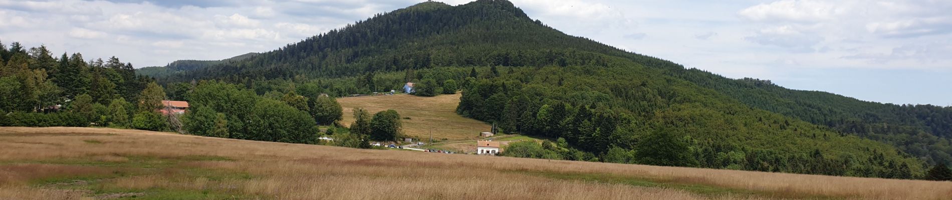 Tocht Stappen Grandfontaine - Positions fortifiées du Donon sentier des casemates - sud - Photo