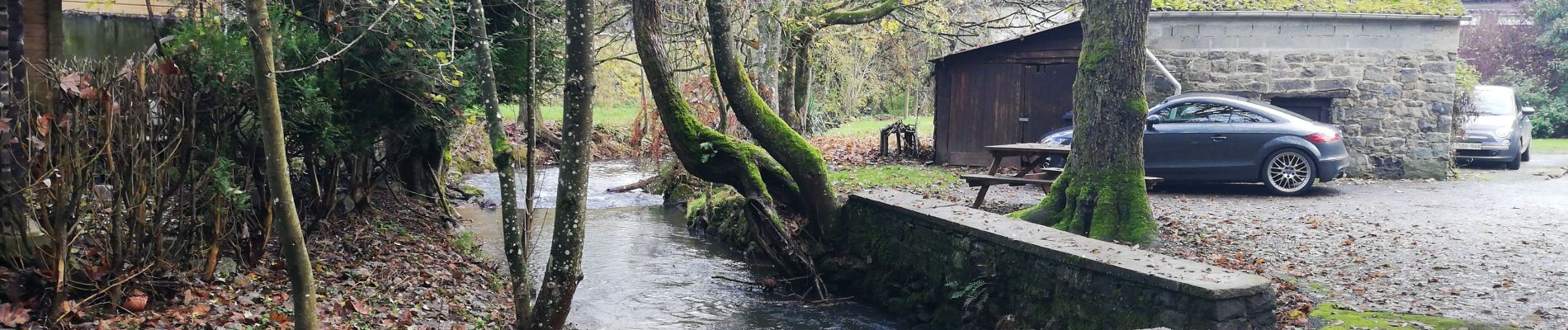 Tour Wandern Anhée - maredret adeps 11/2021 - Photo