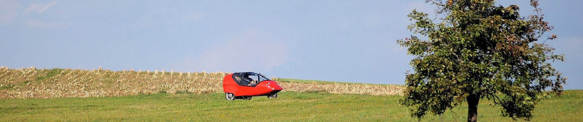 Tocht Te voet Erbach - Rundwanderweg Erbach 6 - Photo